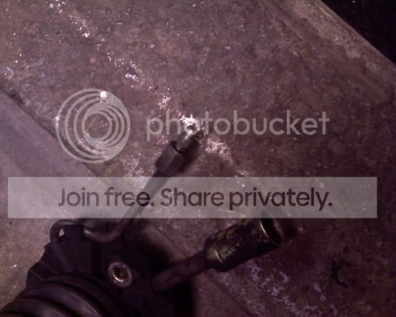 viperclutch016.jpg