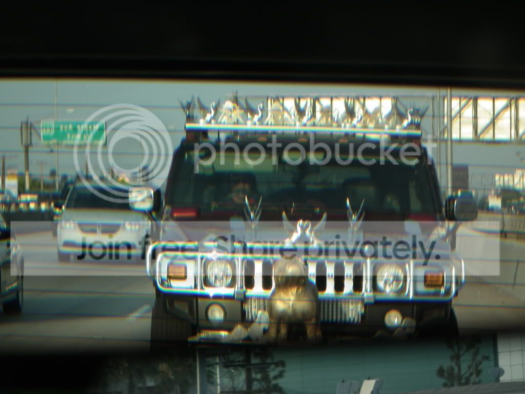 DSCF0656.jpg