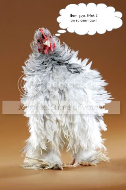 Studio_SplashFrizCoch_980_L-1.jpg