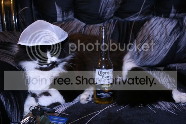 JewishKitty007B.jpg