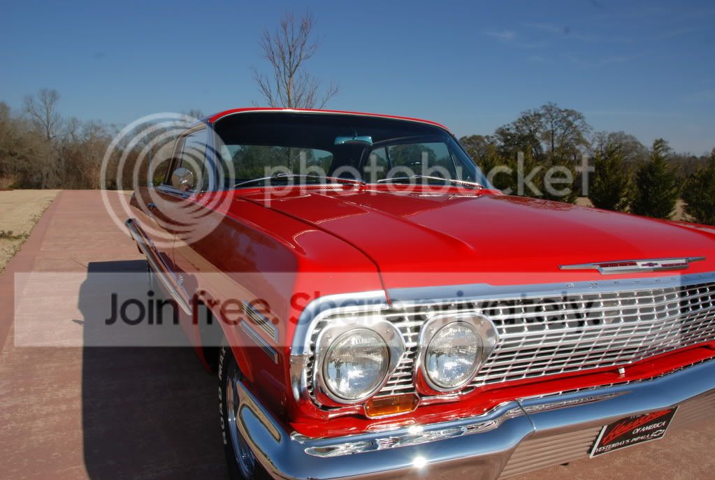 impala003.jpg