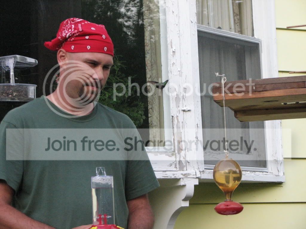 birds081.jpg