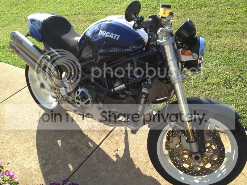 duc1.jpg