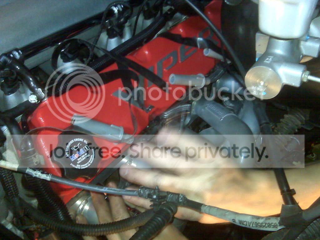 IMG00405.jpg