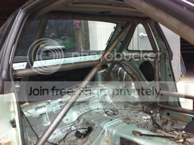 cage3.jpg