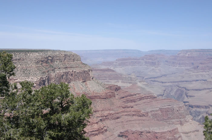 DSC_0987_JPG.jpg