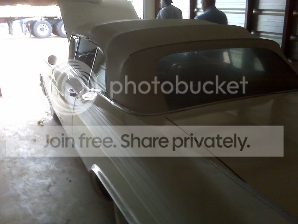 caddy2.jpg