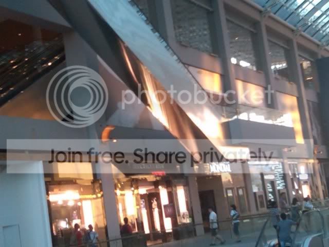 IMG00908-20100620-1855.jpg