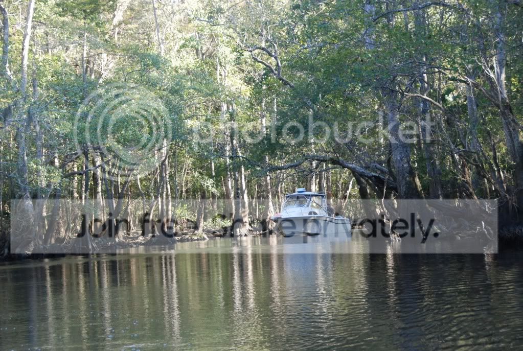 rivertrip016.jpg