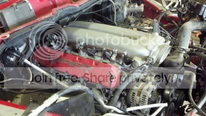 cellpics146.jpg