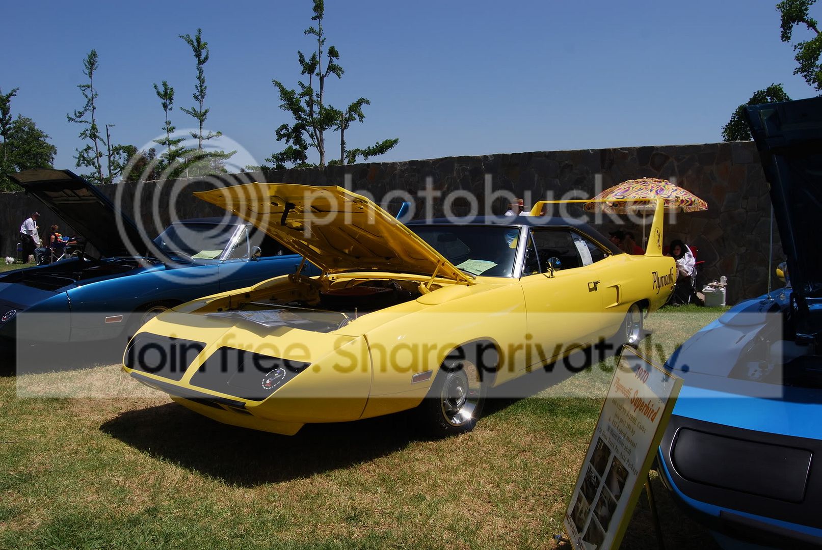 DSC_0356.jpg