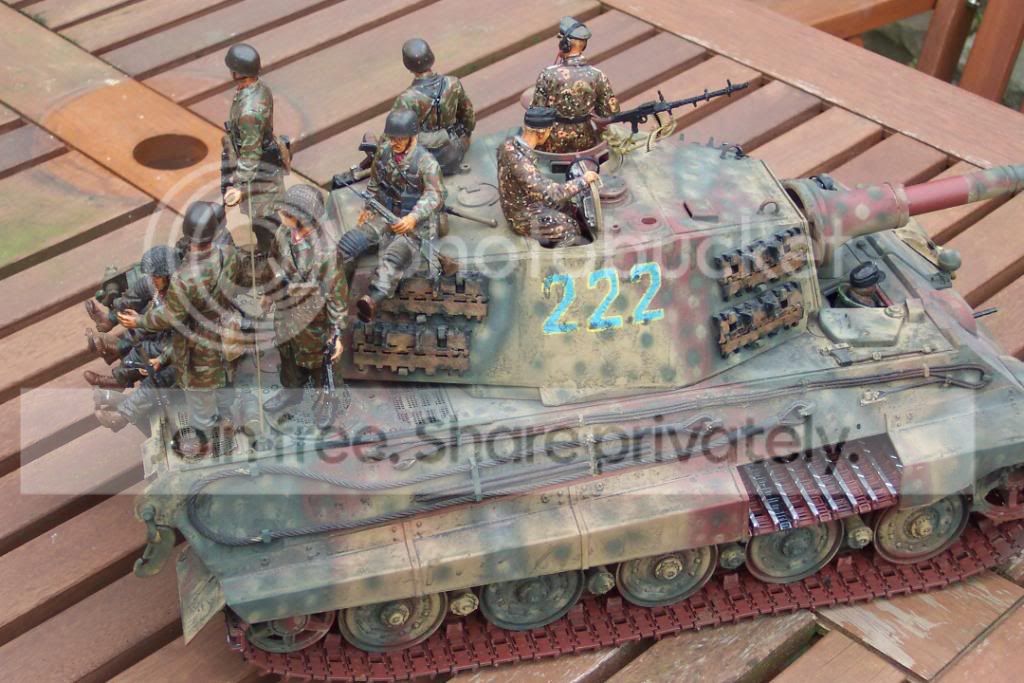kingtiger007.jpg