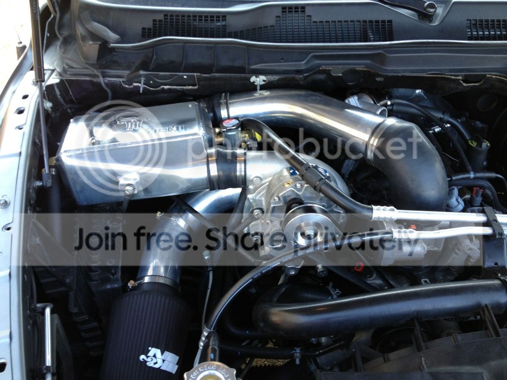 RippD_zps5e60396f.jpg
