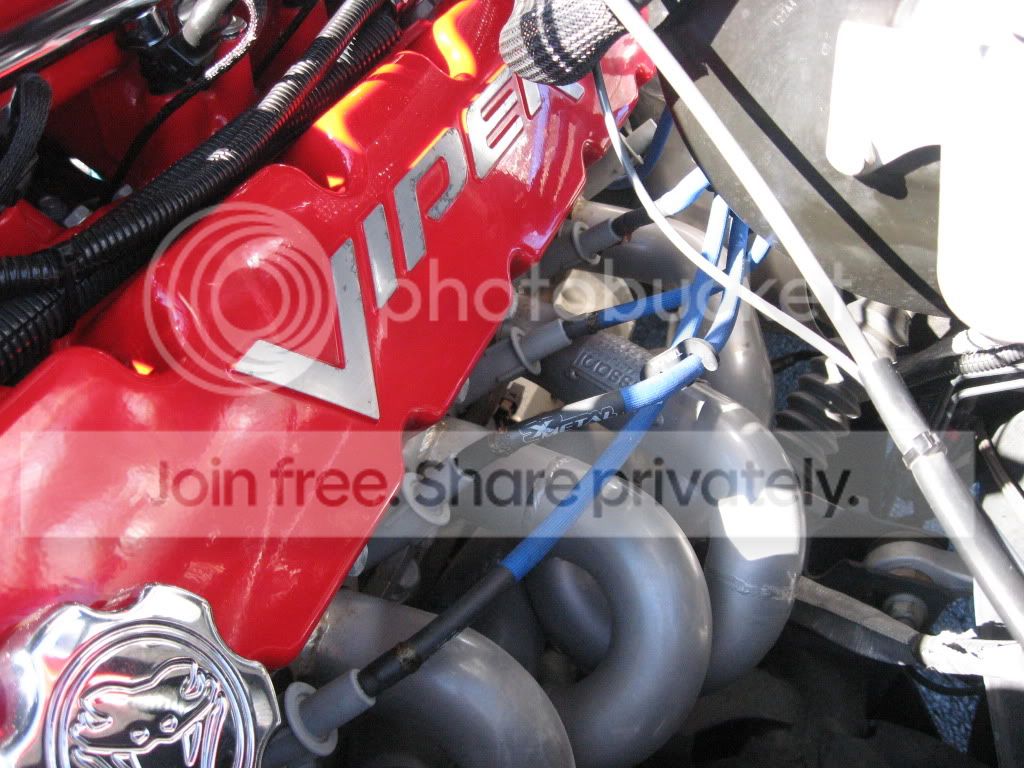 04Viper025.jpg