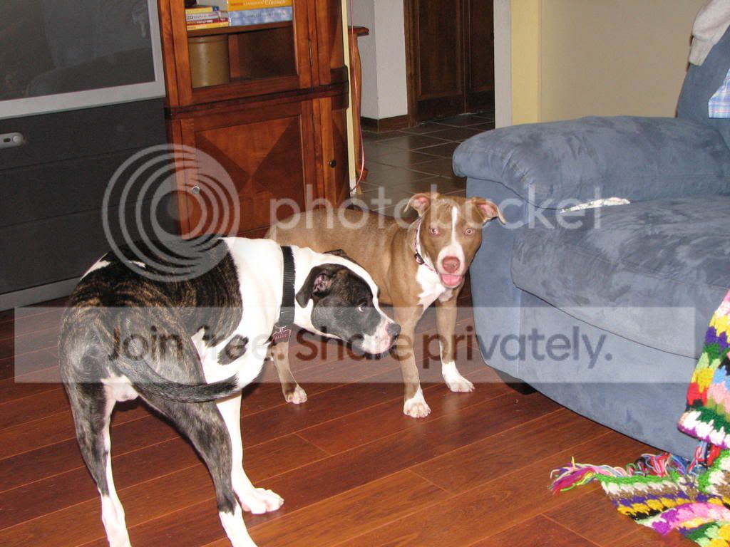 MiscKitchen021.jpg