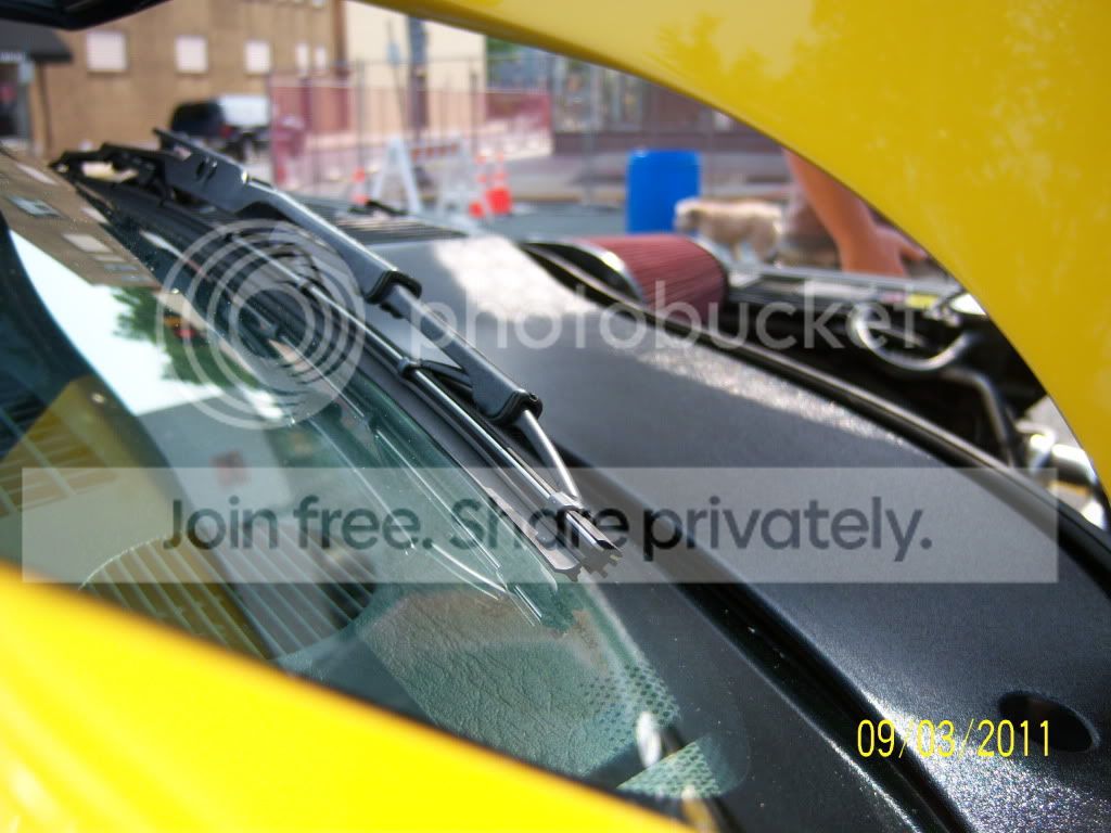 Picture119.jpg