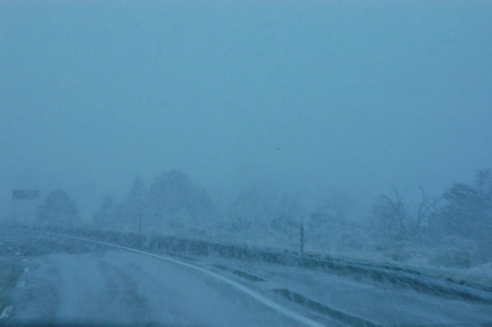 DSC_10256_JPG.jpg