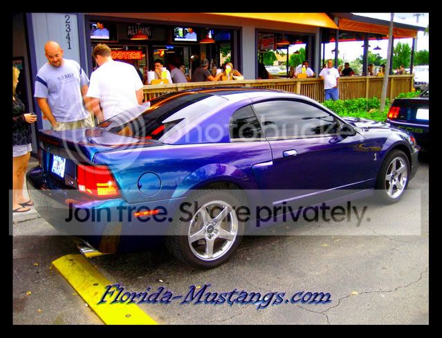 047.jpg