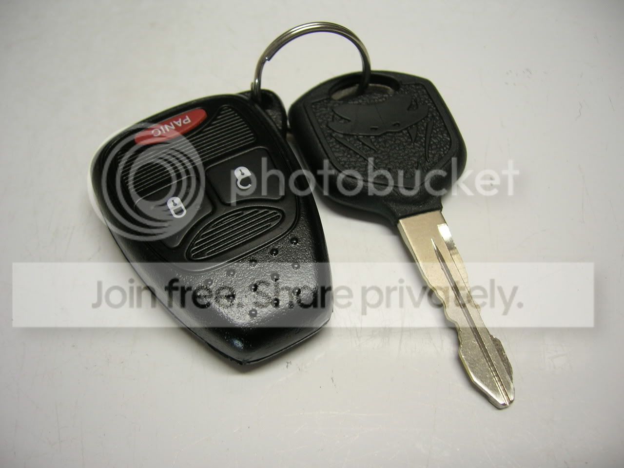 DSCN2198.jpg