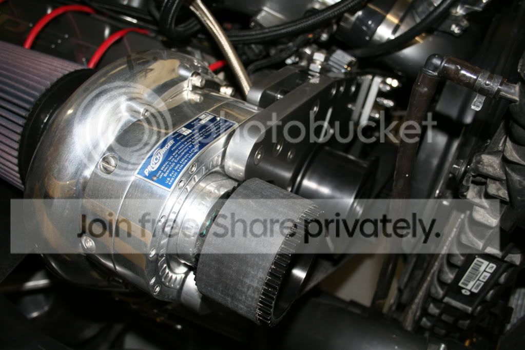 IMG_7911.jpg