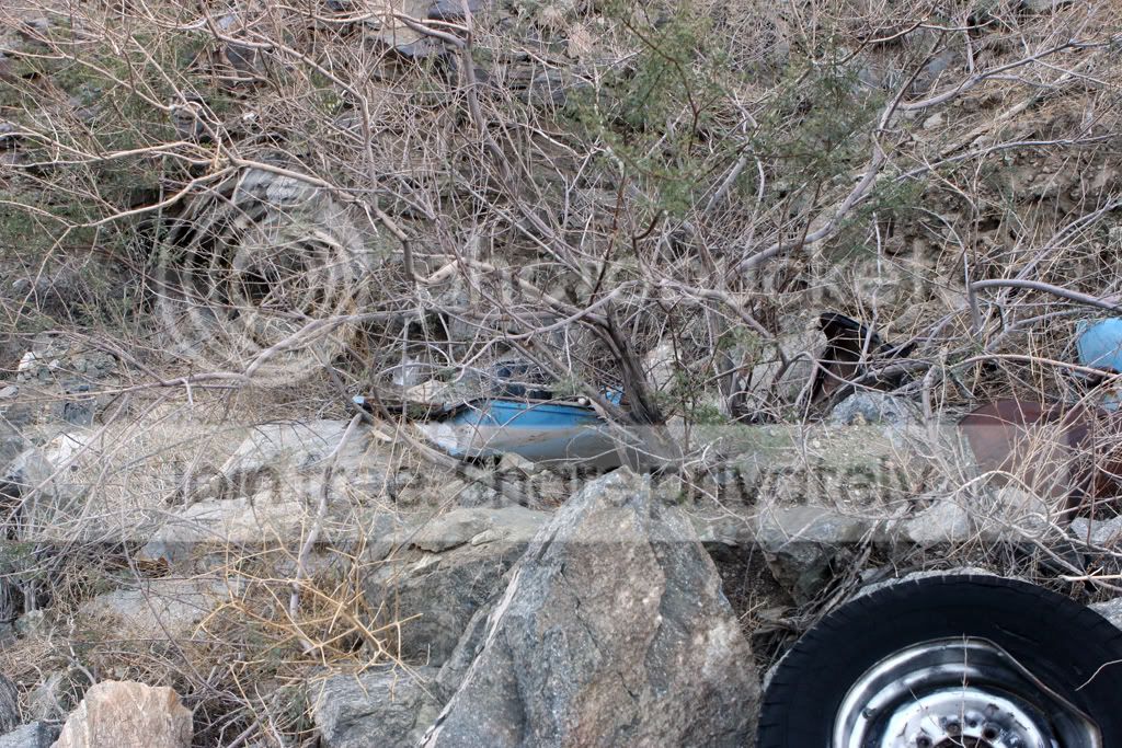 PalmDesertPics161b.jpg
