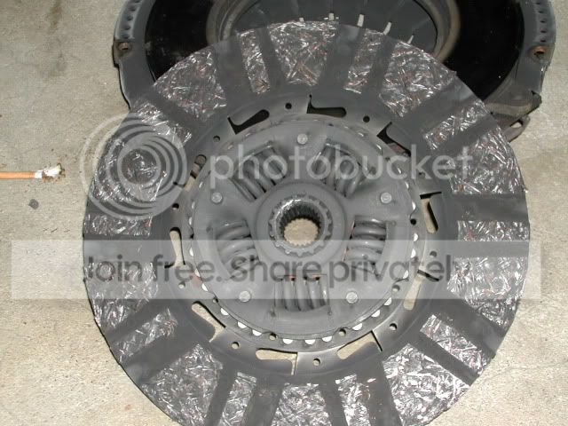 Picture014.jpg