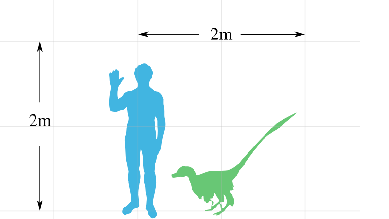 2-calesvg.png