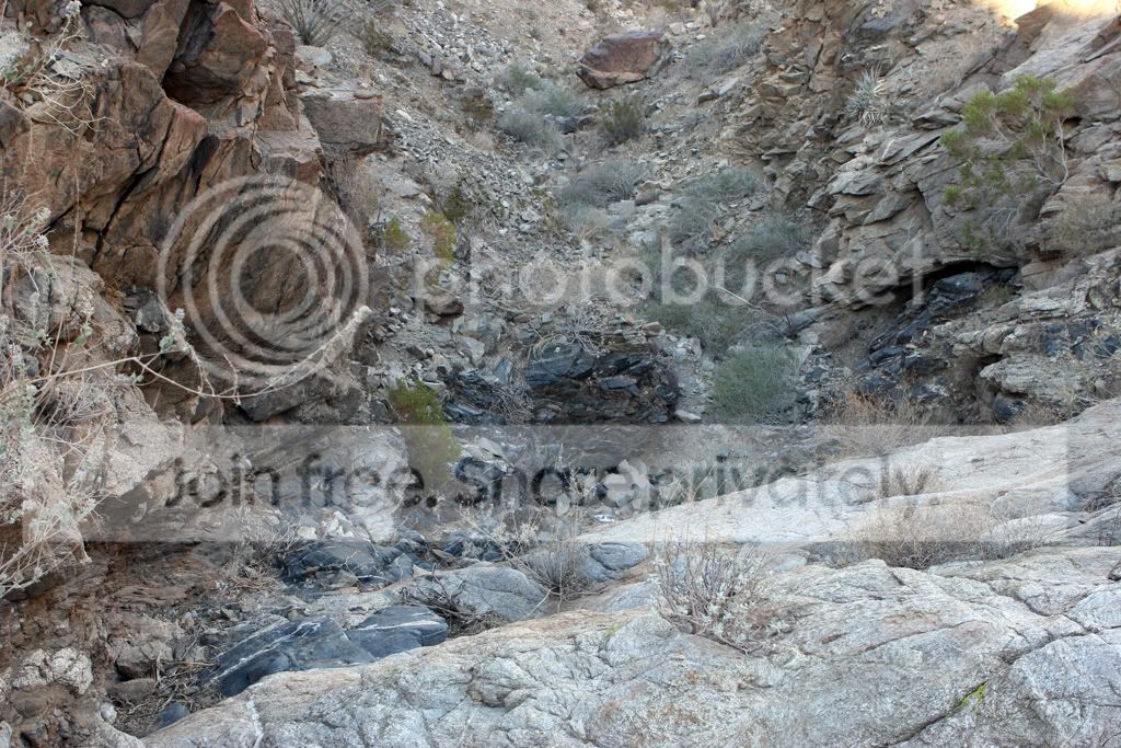 PalmDesertPics164b.jpg