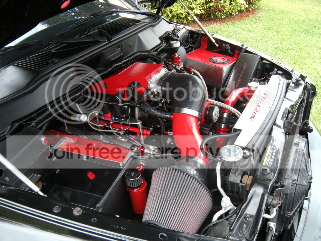 DSCN1195.jpg