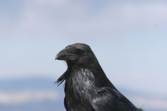 DSC_0202_JPG.jpg