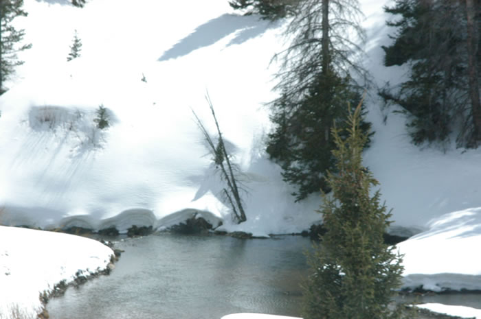 DSC_0478_JPG.jpg