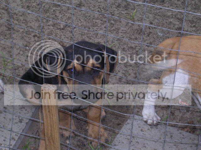 DSCN1830.jpg