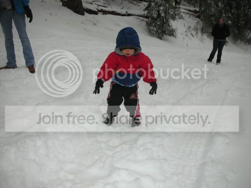 DSCN4535.jpg