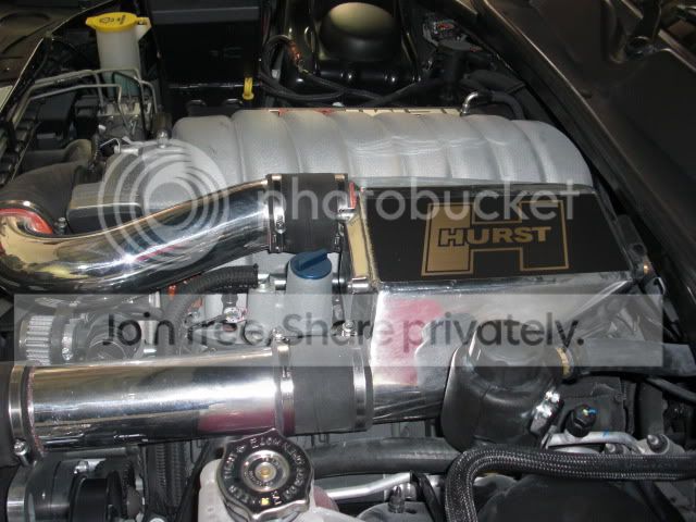 CIMG0218.jpg