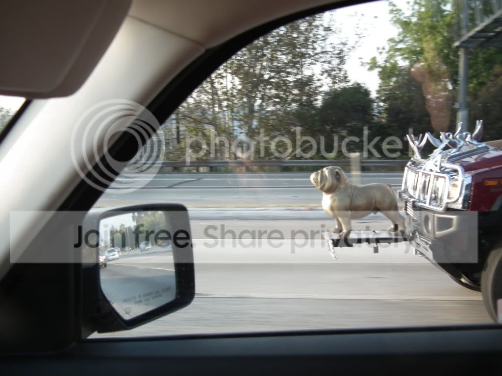 DSCF0661.jpg