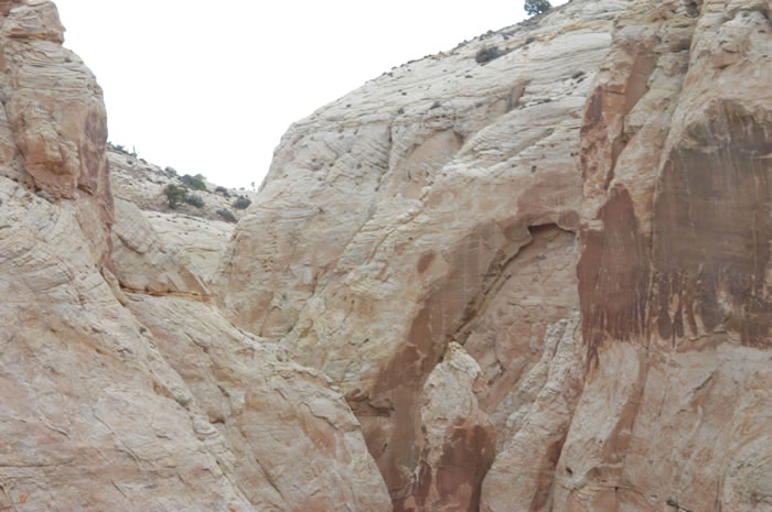 DSC_0746_JPG.jpg