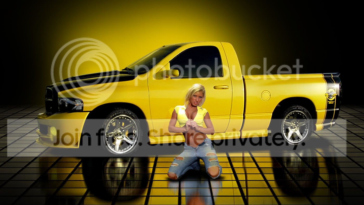 SHANER04.jpg