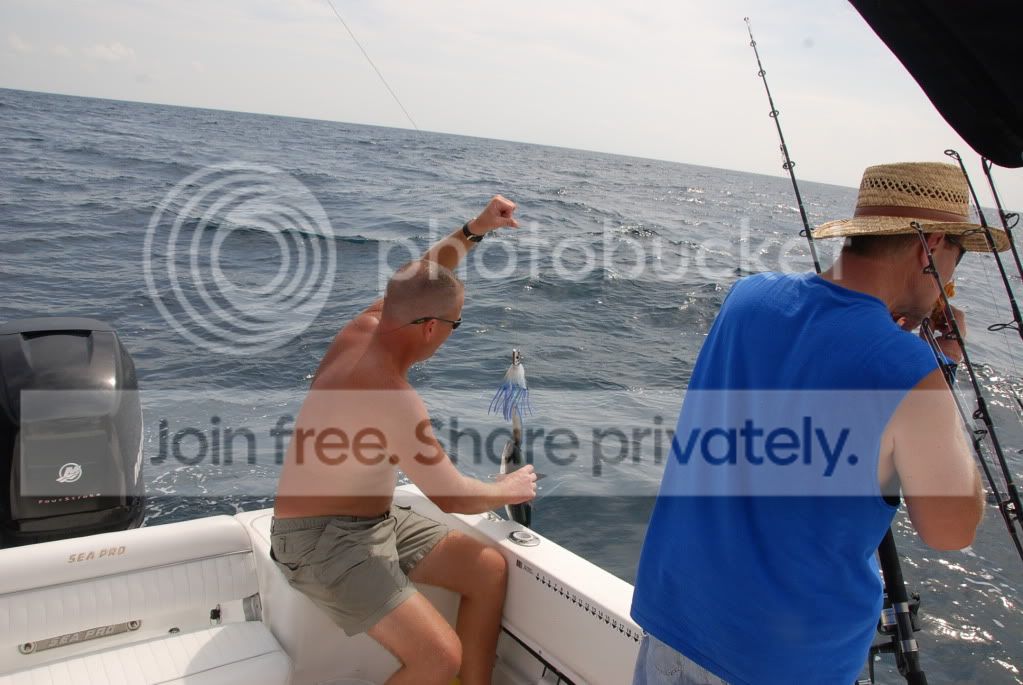 fishintrip004.jpg