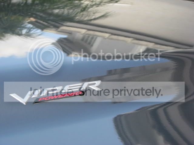 IMG_0084.jpg