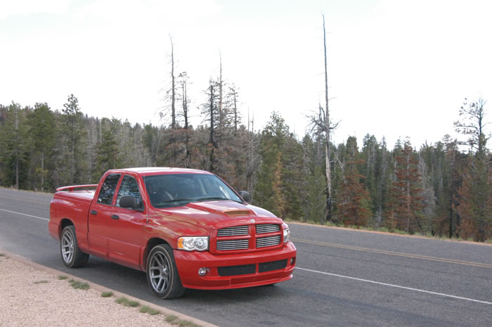 DSC_0196_JPG.jpg