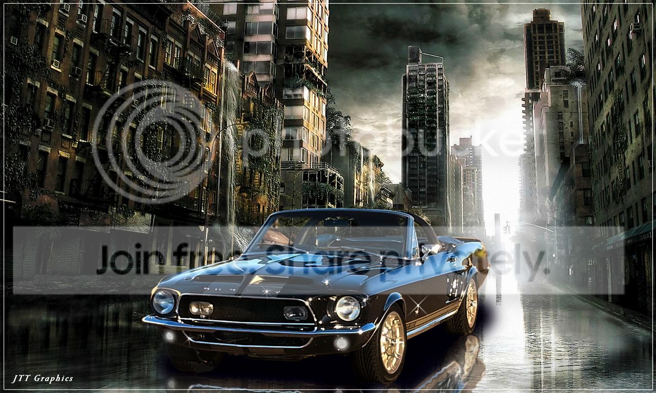 OldSchlStang-1-2_zps47ad3037.jpg