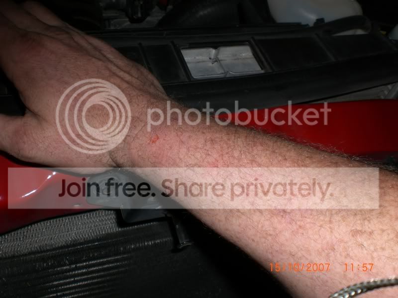 CIMG0908.jpg