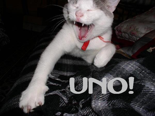 UNO!.jpg