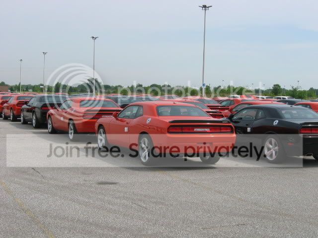 IMG_1571.jpg