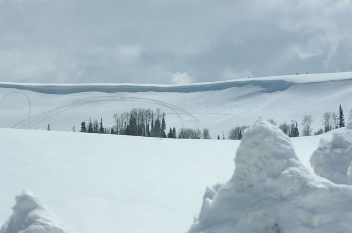 DSC_0441_JPG.jpg