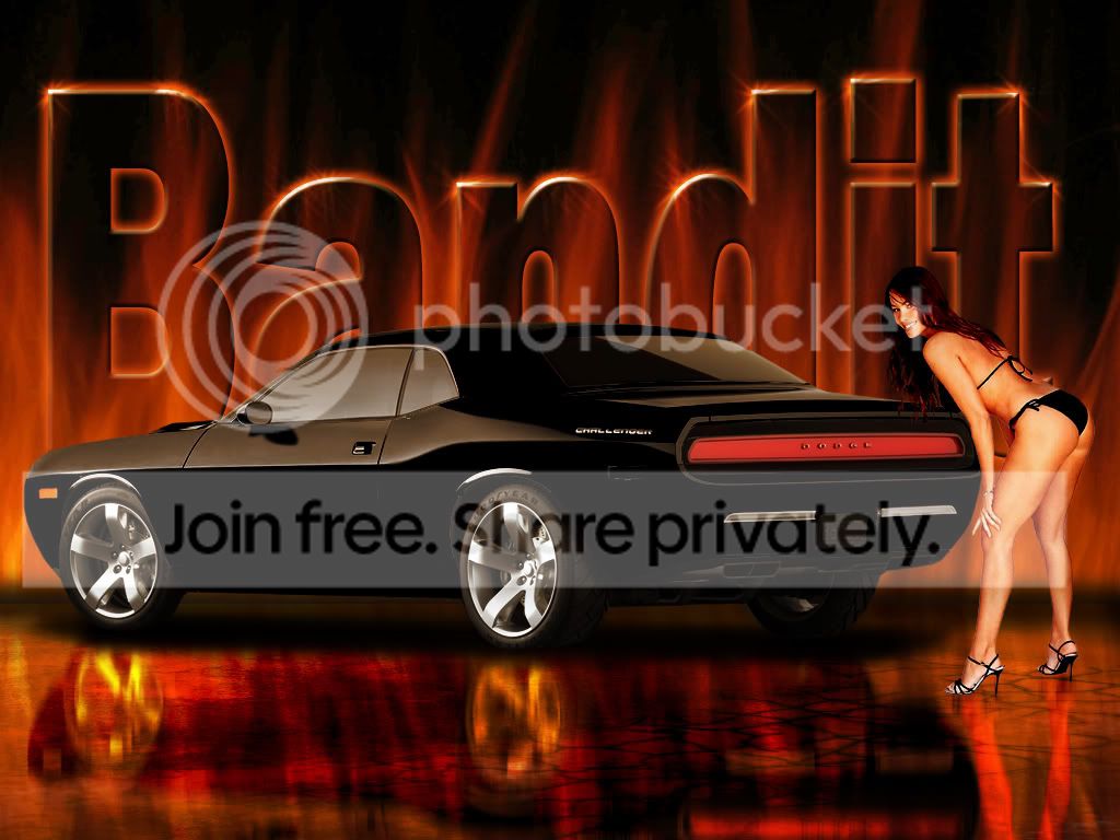 Bandit01.jpg