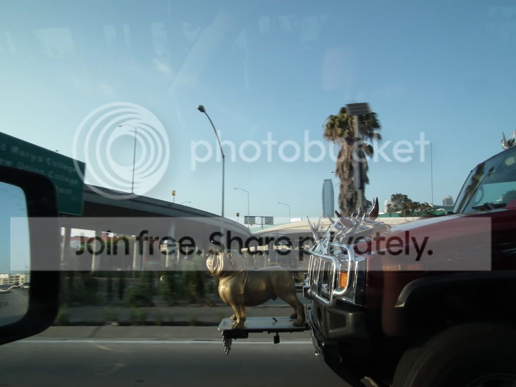 DSCF0657.jpg