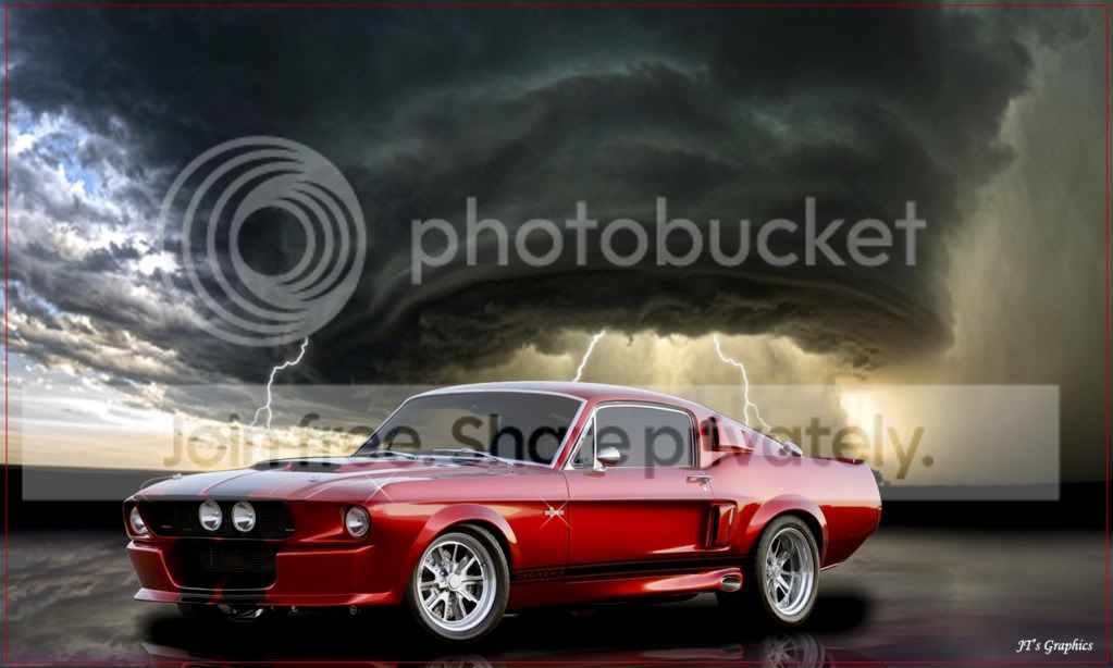 Shelby-jim1.jpg