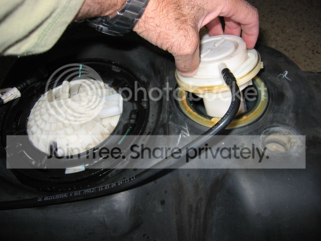 IMG_1156.jpg