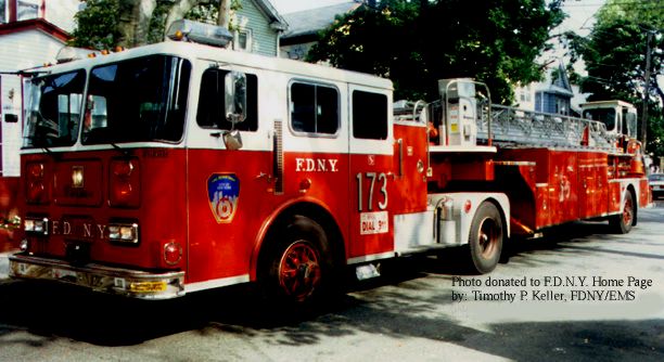 ladder_173.jpg